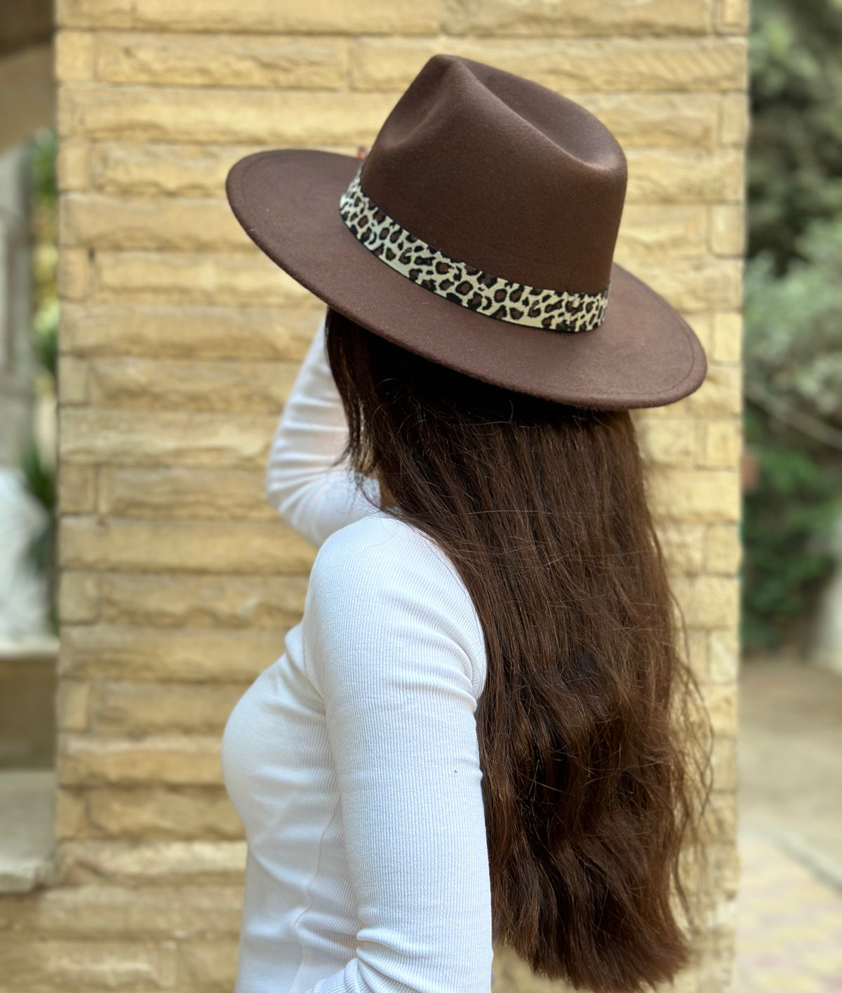 Brown Fedora Hat with removable accessory