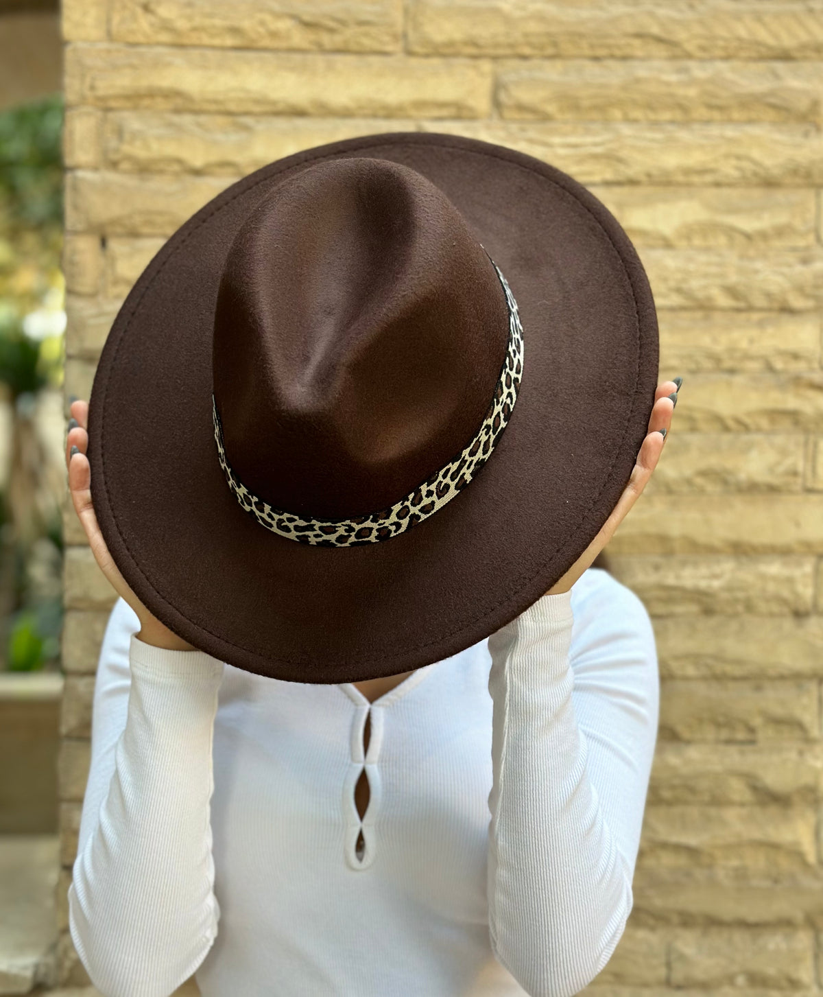 Brown Fedora Hat with removable accessory